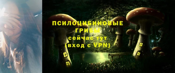 ешки Аркадак