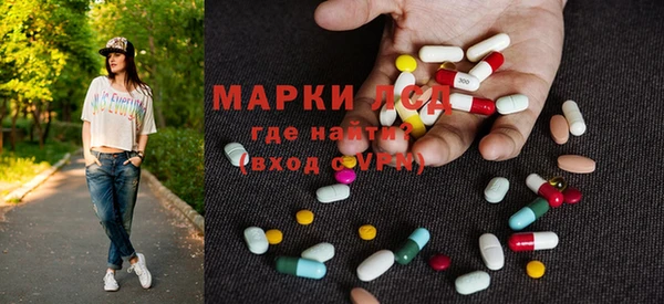 ешки Аркадак