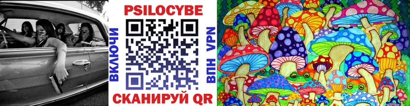 купить наркоту  Лакинск  OMG сайт  Галлюциногенные грибы Psilocybine cubensis 